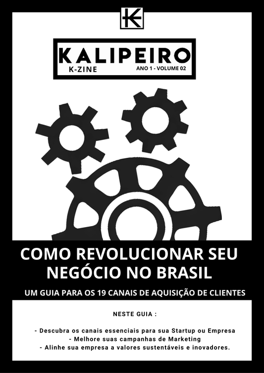V02 — Como Revolucionar seu Negócio no Brasil